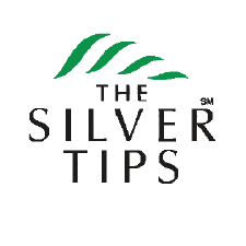 silver tips